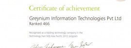 Deloitte Technology Fast 500 Asia Pacific Program