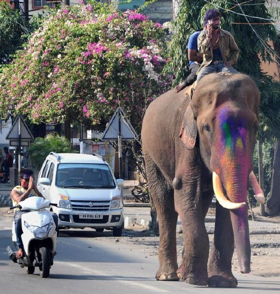 Mobiles are being used everywhere in India!