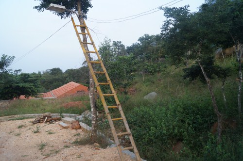 Looking for your ladder of success? Looking for your ladder of success?