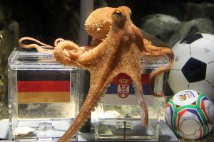 octopus paul