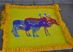Rangoli for Sankranti by artist Anisha Raghu
