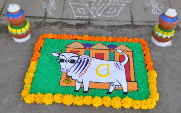 Rangoli for Sankranti by artist Anisha Raghu