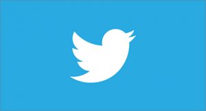Twitter Bird